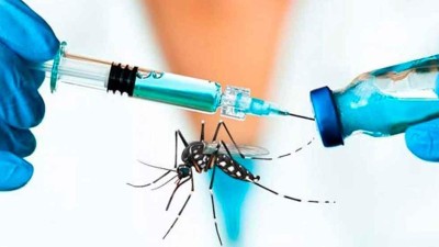 La Provincia empezó a enviar turnos para vacunar a quienes no hayan tenido dengue: cómo registrarse