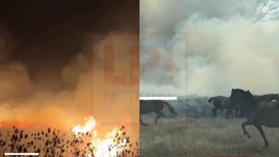 Incendios forestales en Gral Rodr&iacute;guez: nueva alerta y fuerte mensaje de los Bomberos a la comunidad