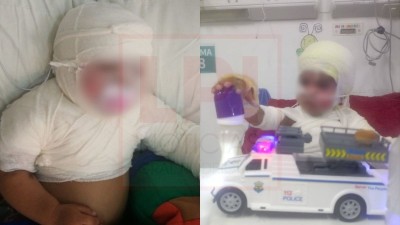 Alentadores avances en las recuperaciones de Mateo y Gaia, las criaturas rodriguenses internadas en La Plata