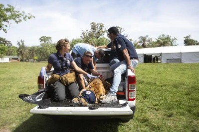 Video: cómo es la misión de rescate de los animales que quedan en el Zoo de Luján