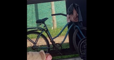 Video: &ldquo;campane&oacute;&rdquo; varias casas y hurt&oacute; una bici tras entrar a una de ellas