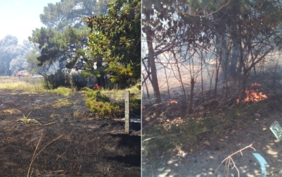 Importante incendio forestal oblig&oacute; a varias horas de trabajo de los Bomberos este martes por la tarde