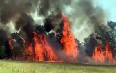 Los Bomberos dieron a conocer la cantidad de incendios forestales que debieron salir a combatir en enero