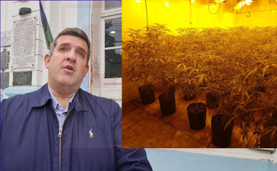 Allanamiento por "marihuana indoor" en barrio El Porvenir y búsqueda de un homicida narco