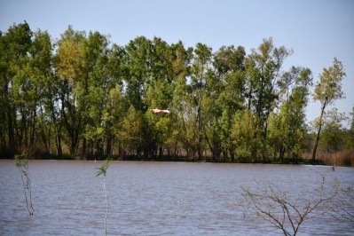 Qué son los "corredores biológicos" que se pretenden instalar en la provincia de Buenos Aires