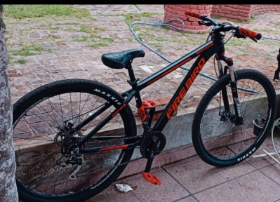 Le robaron la bici desde adentro del patio de su casa, a una cuadra de la Comisar&iacute;a