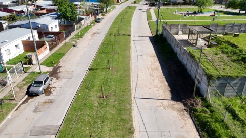 Video: cómo es el plan del Municipio para forestar el barrio Bicentenario