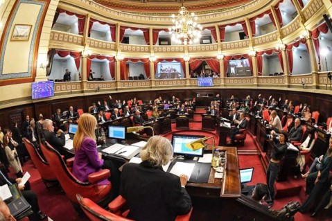 Se cayó la sesión por las "re-re" en el Senado bonaerense: qué pasó y cómo sigue todo