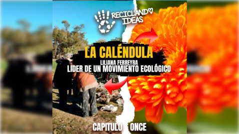 Reciclando Ideas 11: el cuidado de plantas sensibles al calor, la caléndula como cosmético y la importancia de la Ley Yolanda