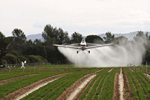 La medida provincial sobre agrot&oacute;xicos que "miran de cerca" algunos barrios rodriguenses