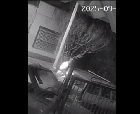 Video: desde el interior de su casa vio cómo en segundos le robaron el auto que usa para trabajar