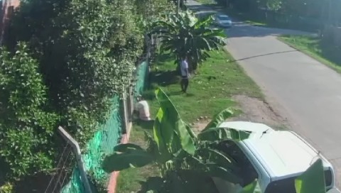 Video: alarma por hombres vestidos de jardineros que entraron a una casa en barrio Santa Brígida