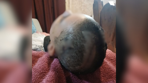 Rodriguense de 15 años sufrió una brutal paliza a la salida de un boliche en Luján