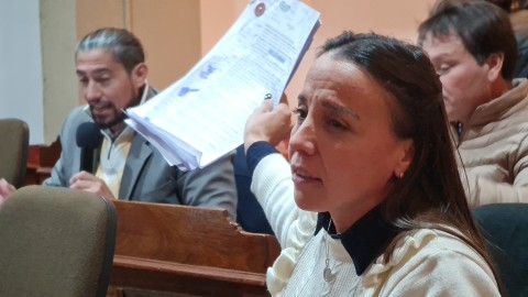 Tras un inicio mayormente calmo, el HCD volvió a desmadrarse y se habló de evitar “no sesionar por no poder dialogar”