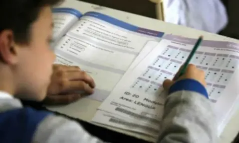 Las estadísticas alarmantes que arrojaron los resultados de las Pruebas Aprender 2024