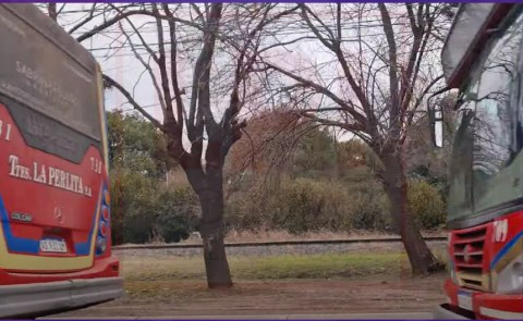 ¿Podrán sacar a los colectivos de La Perlita estacionados en la Ruta 7?: hay novedades al respecto