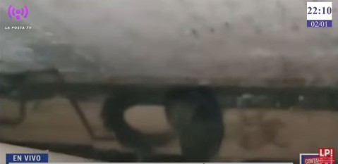 Video: otra grave situación con roedores en la maternidad del Hospital Vicente López