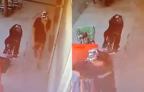Video: Impotencia por un robo frente a un supermercado en Altos del Oeste