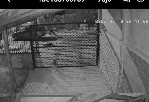 Empuj&aacute;ndolo, le robaron el auto de la puerta de su casa