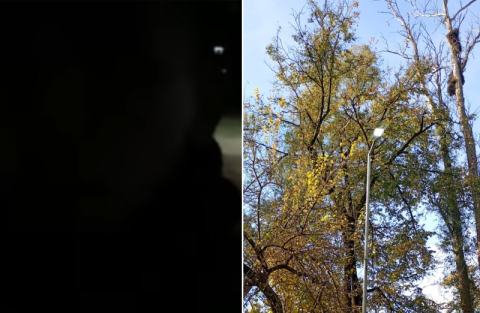 Luces prendidas de d&iacute;a y "boca de lobo" de noche: la parad&oacute;jica situaci&oacute;n que advierte un vecino en el "Poli"