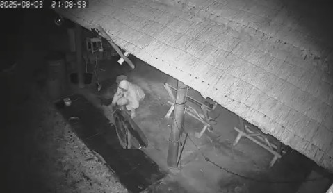 Importante despliegue de ladrones para robar herramientas y materiales pesados de un terreno en barrio Vista Linda