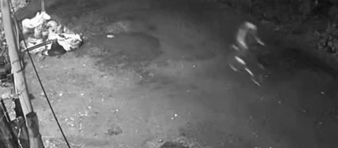 Video: un delincuente entró al patio de su casa y le robó la bici con total impunidad