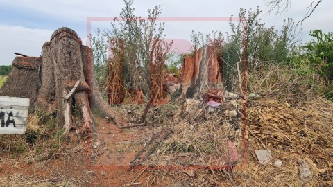 Avanza el desmonte del predio que se tal&oacute; sobre calle Corrientes: ahora sobre la calle Trueba