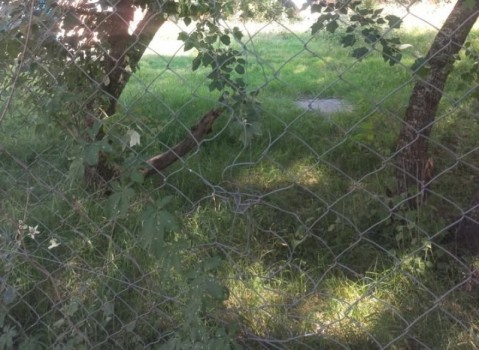 “Impotencia total”: un año después de un violento robo, volvió a sufrir un episodio delictivo