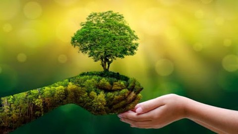 Este jueves se realizará una jornada de reciclaje en la Plaza Central por el Día Mundial del Ambiente