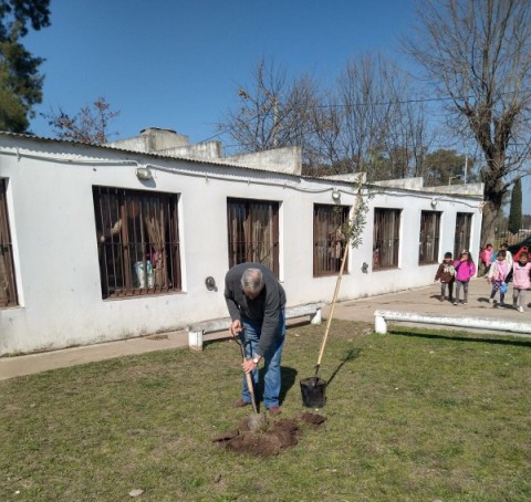 El Rotary Club colocó más árboles en espacios públicos