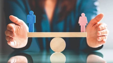 Piden incorporar la paridad de g&eacute;nero a los cargos p&uacute;blicos provinciales