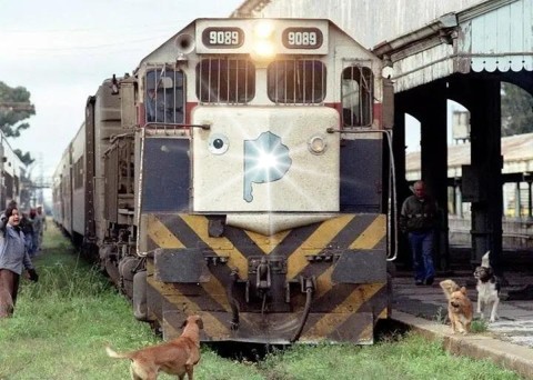 De cuáles trenes se haría cargo la Provincia: ¿vuelve Ferrobaires?