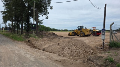 Multa millonaria por tala de &aacute;rboles: sancionaron un grave da&ntilde;o al arbolado p&uacute;blico en Colectora Norte