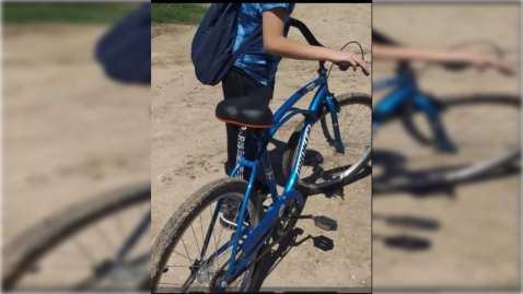 "Carne cruda o envenenada": le robaron la bicicleta y alertó del método que usan los delincuentes