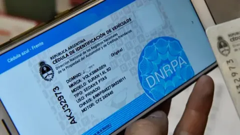 El Gobierno Nacional oficializó el uso de la Cédula Azul digital: cómo autorizar a terceros a conducir un vehículo