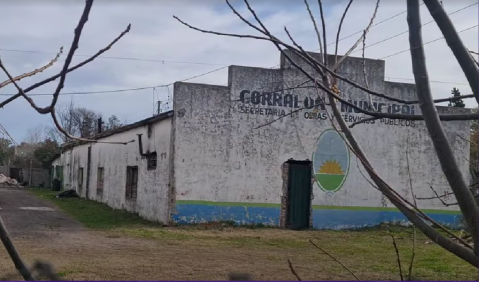 Qué pasa en el predio del corralón: basura, precariedad, un proyecto que se demora y tensión en empleados