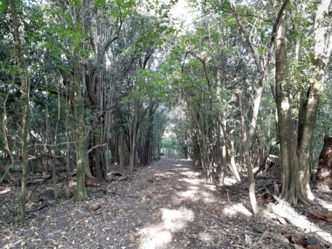 El HCD aprobó la creación de la Reserva Natural y Parque Municipal de General Rodríguez