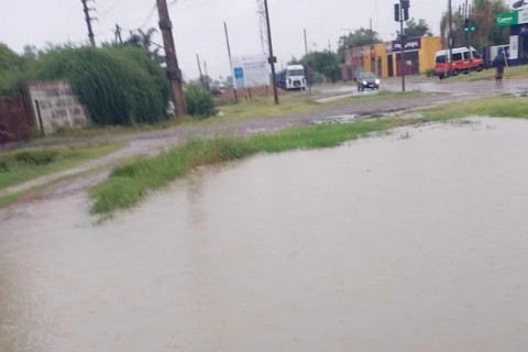 Viento extremo, árboles caídos y anegaciones: así fue el paso de la tormenta de este martes en Gral. Rodríguez
