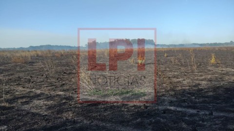 Nuevo incendio forestal generó una inmensa “nube” en el norte de General Rodríguez