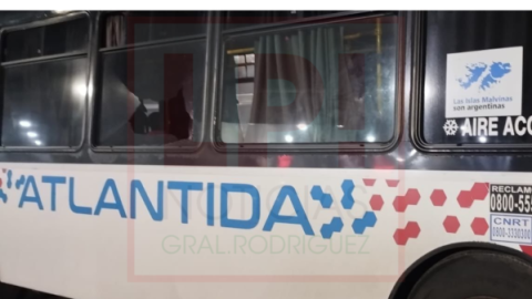 El director de DOTA (línea 57) opinó sobre los ataques a colectivos y la necesidad de más unidades
