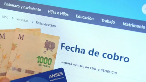 Anses dio a conocer el calendario de pagos para el mes de abril