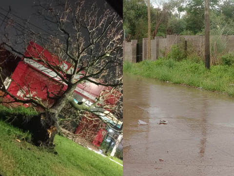 El temporal que llegó desde Bahía Blanca dejó muchos árboles caídos y algunos barrios anegados