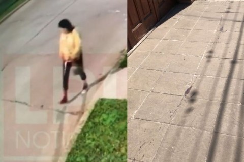 Cómo se encuentra la mujer que fue captada ensangrentada en un video y qué más se sabe de ella