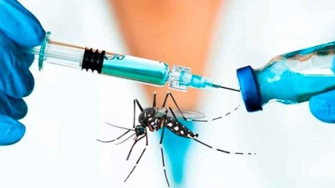 La Provincia empezó a enviar turnos para vacunar a quienes no hayan tenido dengue: cómo registrarse