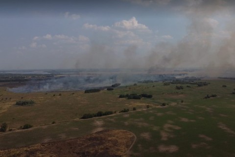 Preocupante alza de incendios forestales en Gral Rodríguez: cuál es la causa principal