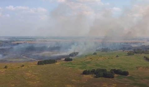 Extenso incendio forestal afectó campos aledaños a la Reserva Natural