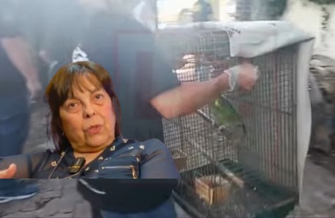 Desde SOS Can pidieron mayor control del Estado tras el procedimiento por &ldquo;maltrato animal&rdquo; en B&ordm; Los Cedros