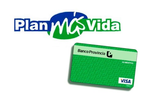 Plan Más Vida: nueva tanda de beneficiarios ya puede retirar su "tarjeta verde"