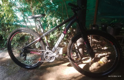 En plena madrugada, le robaron la bicicleta desde adentro de su casa: "no escuchamos ni vimos nada"