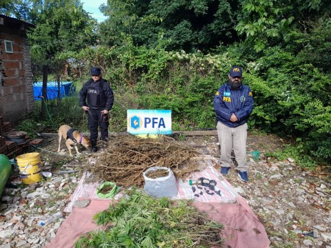 Tras dos allanamientos en General Rodríguez, se desarticuló un esquema de venta de drogas